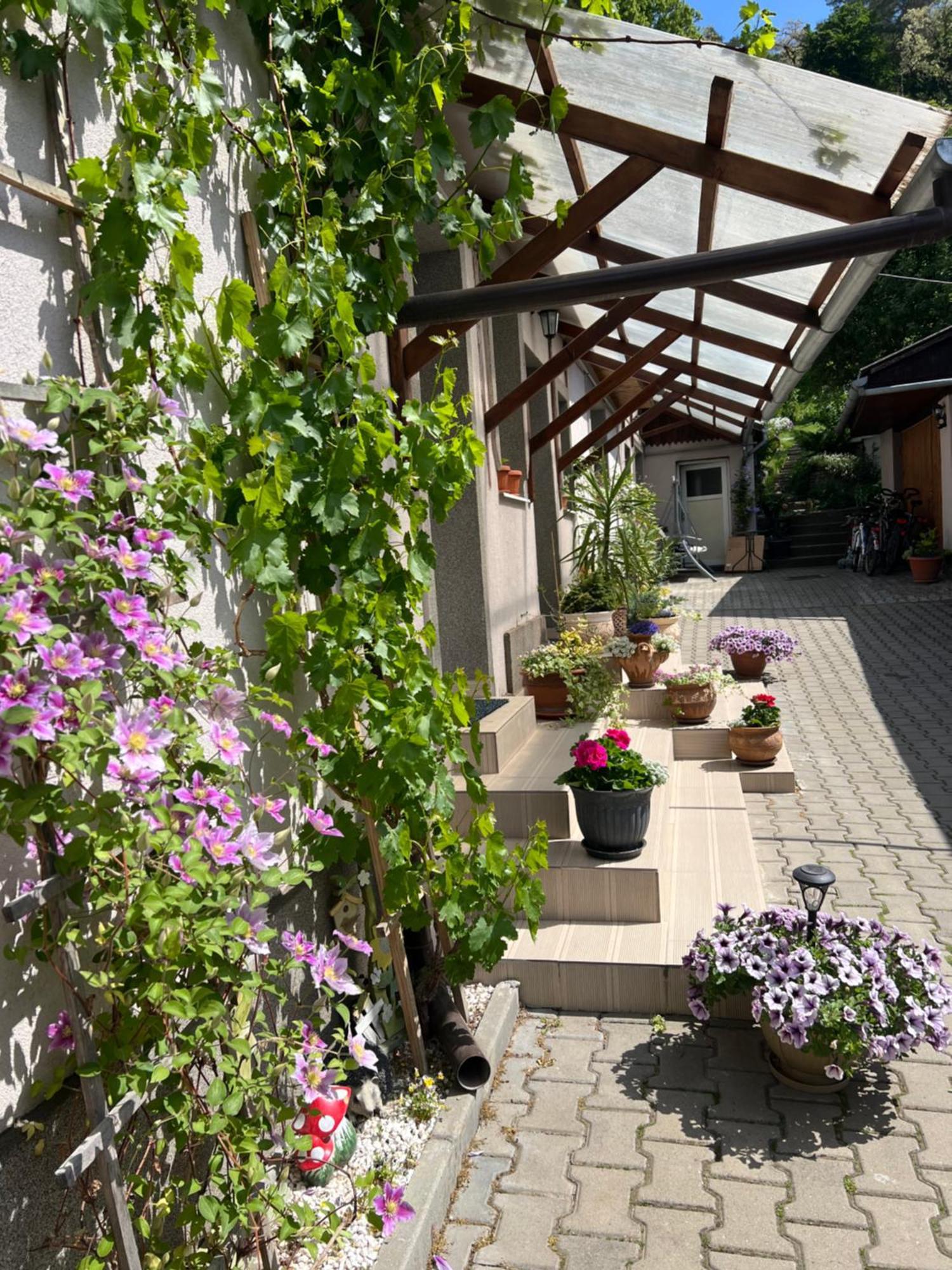 Casa Santa Villa Sighişoara Eksteriør billede