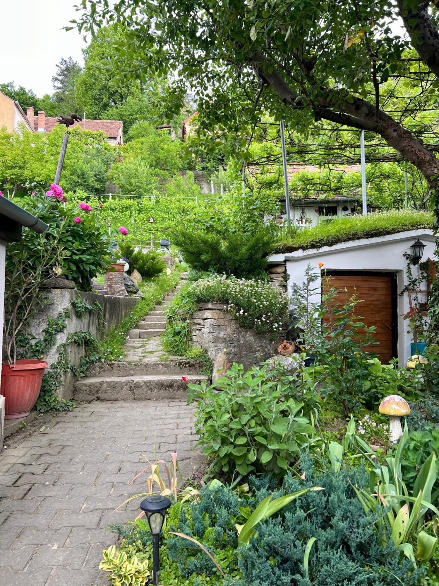 Casa Santa Villa Sighişoara Eksteriør billede