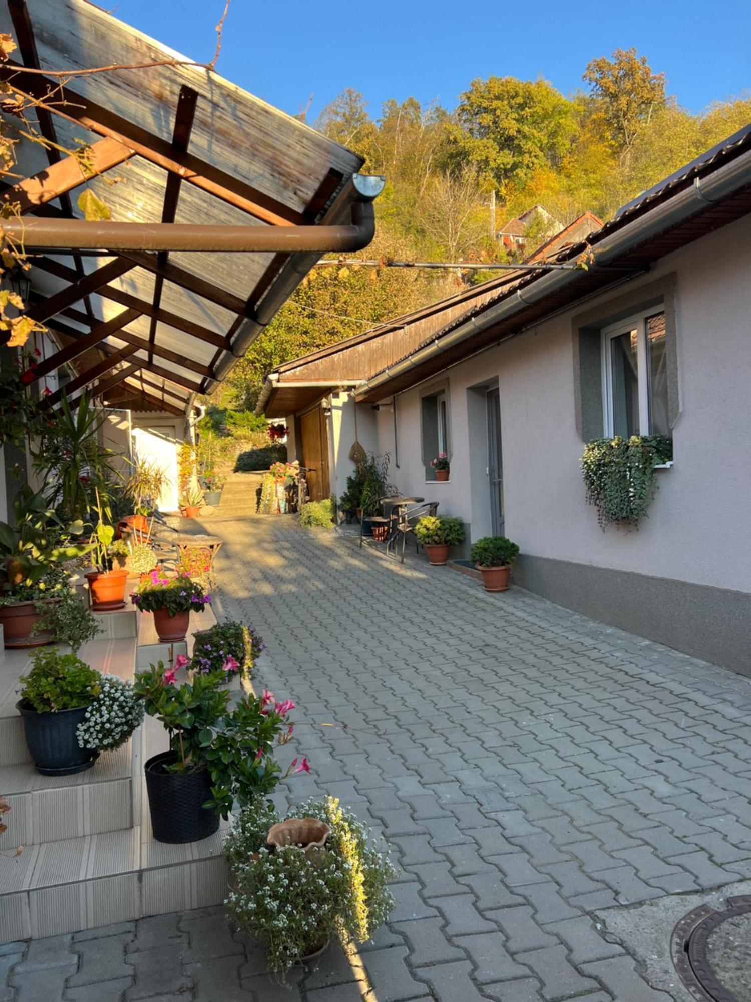 Casa Santa Villa Sighişoara Eksteriør billede