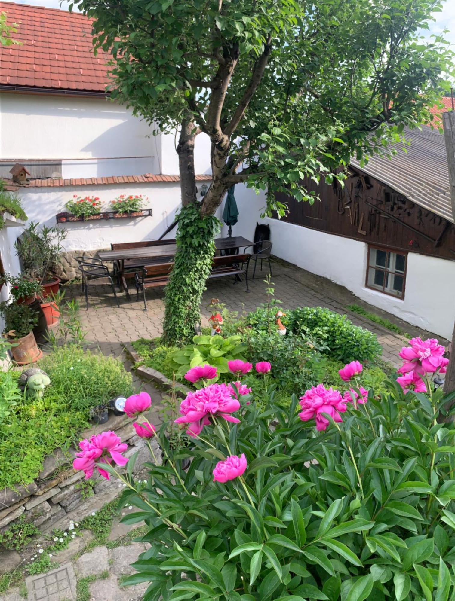 Casa Santa Villa Sighişoara Eksteriør billede