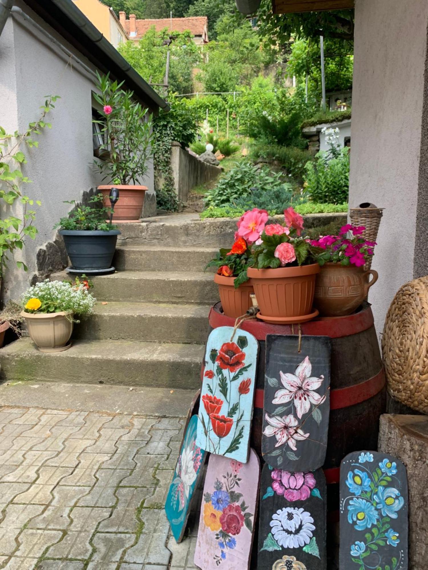 Casa Santa Villa Sighişoara Eksteriør billede